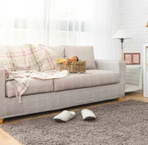 Bright living room.