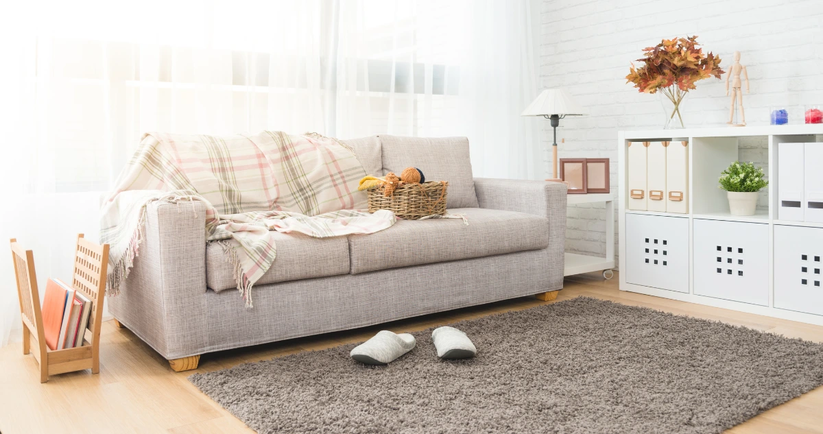 Bright living room.