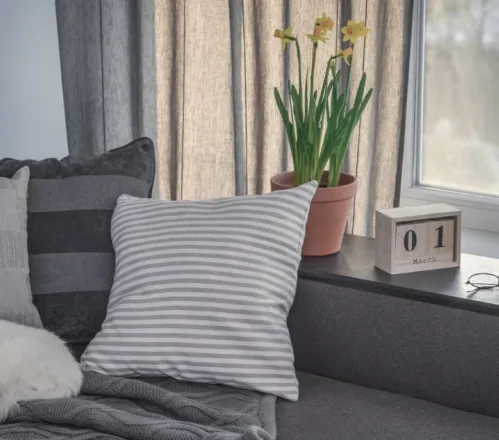 Cat laying comfortably on a couch.